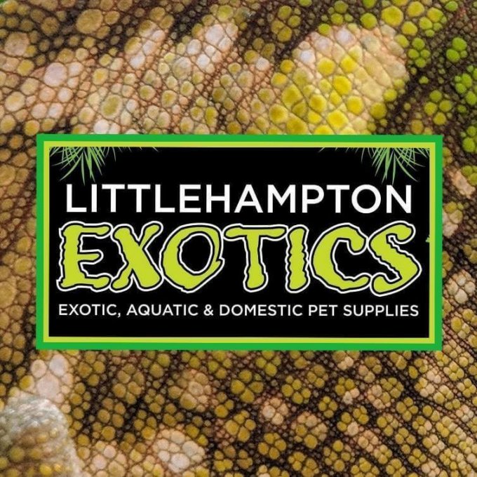 Littlehampton Exotics