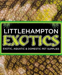 Littlehampton Exotics