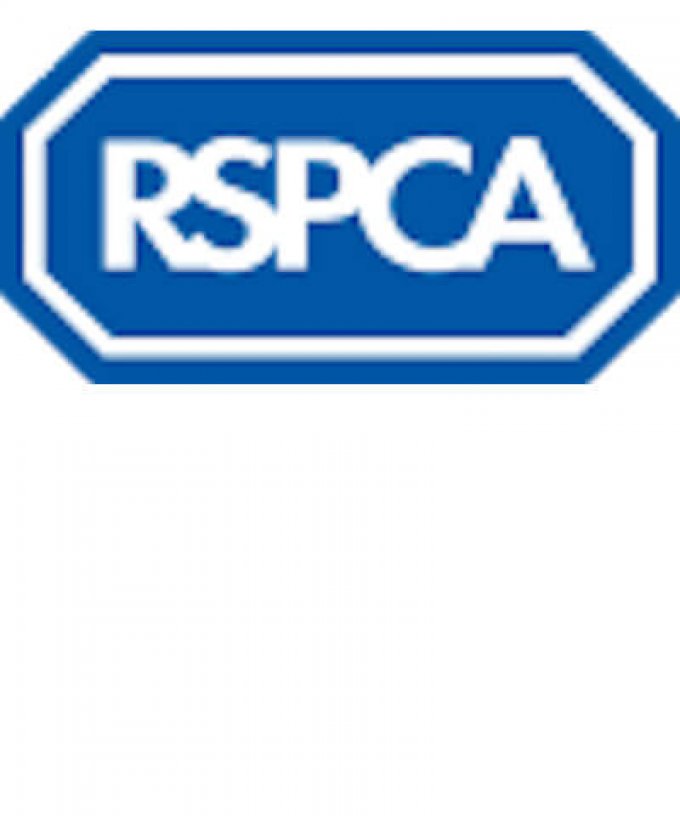 RSPCA Littlehampton Shop